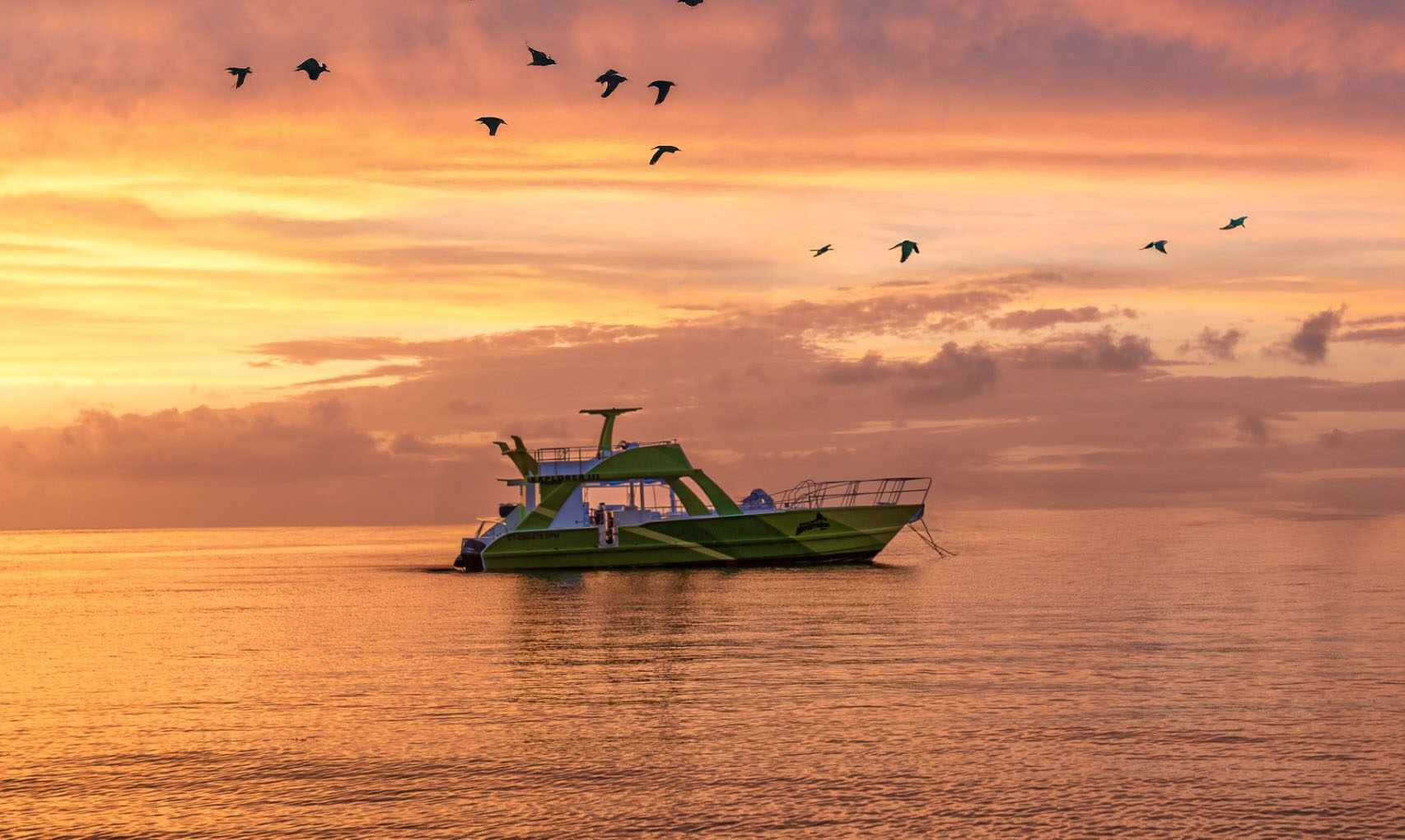 Sunset Catamaran, la experiencia que enamora en el atardecer de Punta Cana