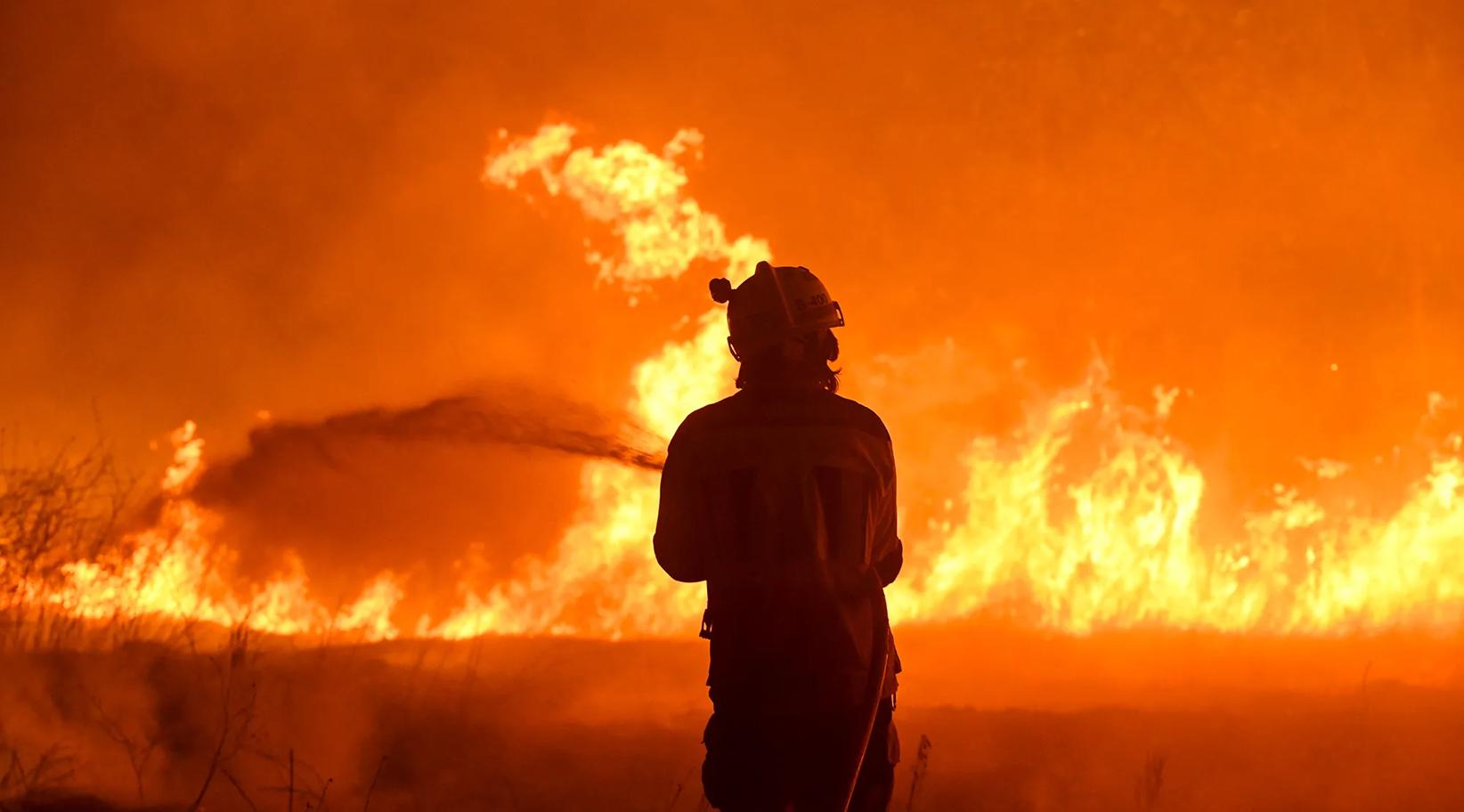 España enfrenta una temporada histórica de incendios: más de 172.000 hectáreas arrasadas